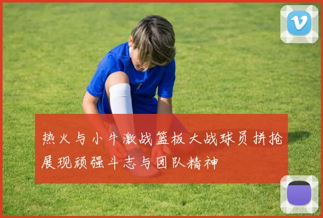 热火与小牛激战篮板大战球员拼抢展现顽强斗志与团队精神