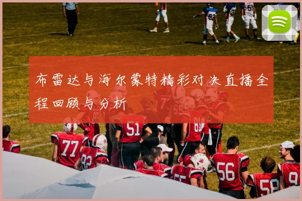 布雷达与海尔蒙特精彩对决直播全程回顾与分析
