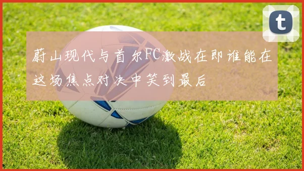 蔚山现代与首尔FC激战在即谁能在这场焦点对决中笑到最后