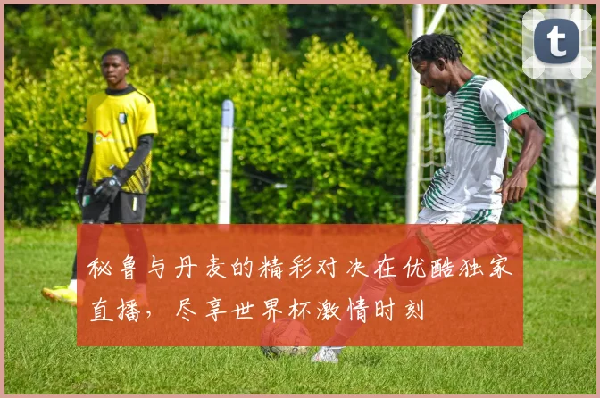 秘鲁与丹麦的精彩对决在优酷独家直播，尽享世界杯激情时刻