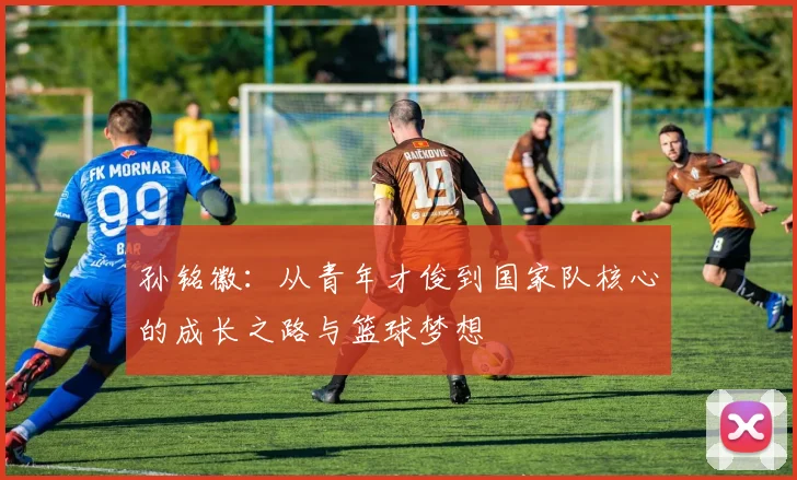 孙铭徽：从青年才俊到国家队核心的成长之路与篮球梦想