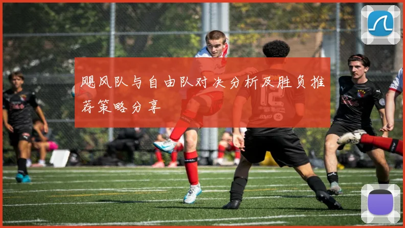 飓风队与自由队对决分析及胜负推荐策略分享