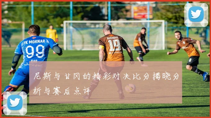 尼斯与甘冈的精彩对决比分揭晓分析与赛后点评