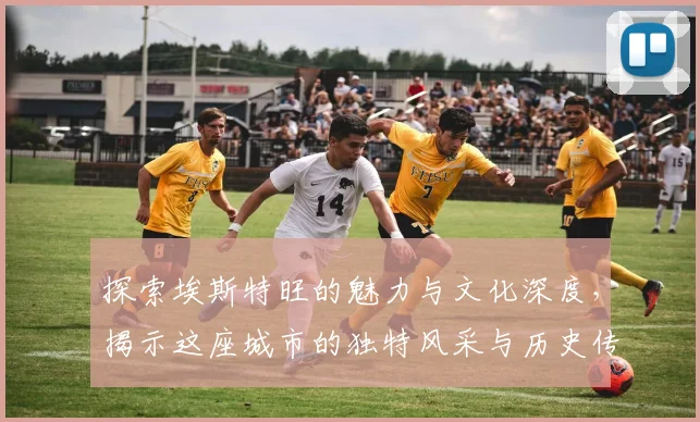 探索埃斯特旺的魅力与文化深度，揭示这座城市的独特风采与历史传承