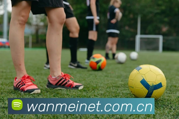 完美体育平台生态图