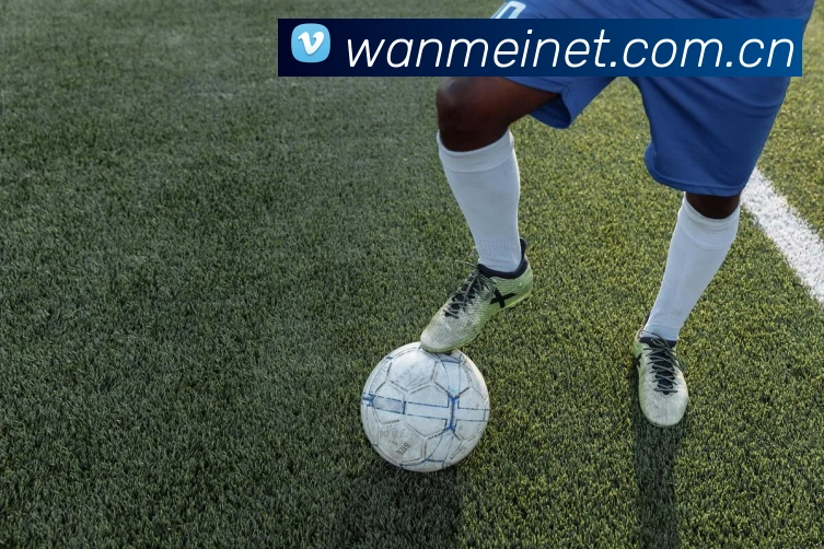 完美体育APP 封面图